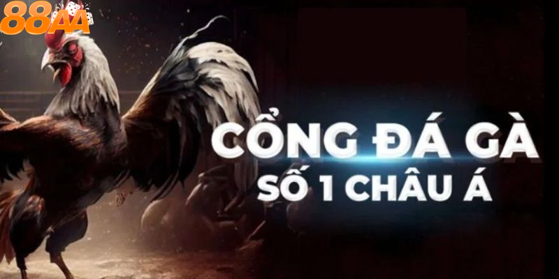 Các loại hình đá gà tại 88aa